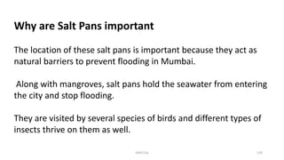 Why are Salt Pans important
The location of these salt pans is important because they act as
natural barriers to prevent flooding in Mumbai.
Along with mangroves, salt pans hold the seawater from entering
the city and stop flooding.
They are visited by several species of birds and different types of
insects thrive on them as well.
KKR1116 129
 