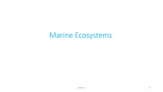 Marine Ecosystems
KKR1116 37
 
