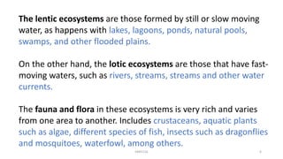 The lentic ecosystems are those formed by still or slow moving
water, as happens with lakes, lagoons, ponds, natural pools,
swamps, and other flooded plains.
On the other hand, the lotic ecosystems are those that have fast-
moving waters, such as rivers, streams, streams and other water
currents.
The fauna and flora in these ecosystems is very rich and varies
from one area to another. Includes crustaceans, aquatic plants
such as algae, different species of fish, insects such as dragonflies
and mosquitoes, waterfowl, among others.
KKR1116 6
 