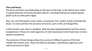 Flora and fauna
The fauna and flora vary depending on the layer of the lake. In the littoral zone, there
is a great diversity of animal and plant species, including floating and rooted aquatic
plants such as some green algae.
Also, you can find aquatic snails, clams, crustaceans, fish, snakes, turtles and birds like
ducks. It is also common the presence of insects, such as flies and dragonflies.
In the limnetic area, there is plankton, both the plant (phytoplankton) and the animal
(zooplancton). These are small organisms of vital importance to the food chain in lentic
aquatic ecosystems.
The presence of these beings allows the survival of different species of fish that
inhabit the limnetic area. These fish feed on plankton, invertebrate organisms and
sediments found in lakes.
KKR1116 8
 
