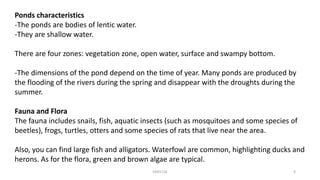 Ponds characteristics
-The ponds are bodies of lentic water.
-They are shallow water.
There are four zones: vegetation zone, open water, surface and swampy bottom.
-The dimensions of the pond depend on the time of year. Many ponds are produced by
the flooding of the rivers during the spring and disappear with the droughts during the
summer.
Fauna and Flora
The fauna includes snails, fish, aquatic insects (such as mosquitoes and some species of
beetles), frogs, turtles, otters and some species of rats that live near the area.
Also, you can find large fish and alligators. Waterfowl are common, highlighting ducks and
herons. As for the flora, green and brown algae are typical.
KKR1116 9
 