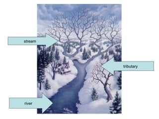 stream
tributary
river
 