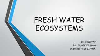 FRESH WATER
ECOSYSTEMS
BY: SHOBIYA.P
BSc. FISHERIES (Hons)
UNIVERSITY OF JAFFNA.
 