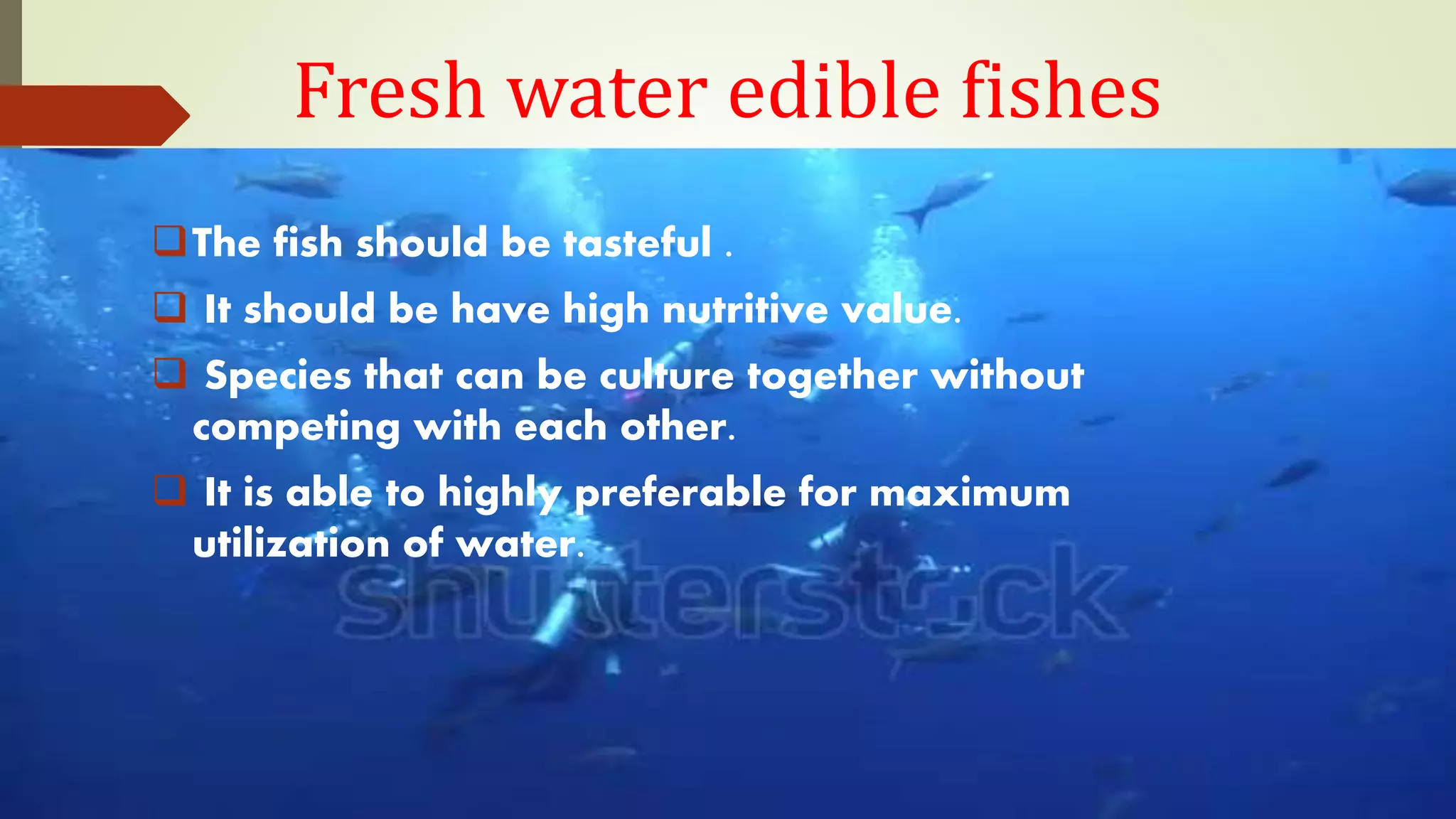 Fish Edibility Fresh water edible fishes | PPTX