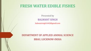 FRESH WATER EDIBLE FISHES
Presented by
BALWANT SINGH
balwantsingh1642@gmail.com
DEPARTMENT OF APPLIED ANIMAL SCIENCE
BBAU, LUCKNOW-INDIA
 