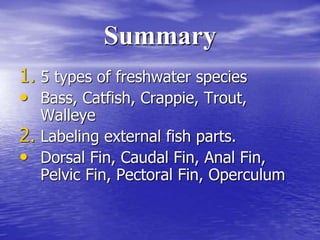 Summary
1. 5 types of freshwater species
• Bass, Catfish, Crappie, Trout,
Walleye
2. Labeling external fish parts.
• Dorsal Fin, Caudal Fin, Anal Fin,
Pelvic Fin, Pectoral Fin, Operculum
 