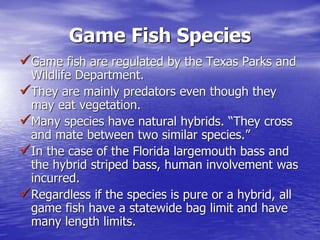 Game Fish Species
Game fish are regulated by the Texas Parks and
Wildlife Department.
They are mainly predators even though they
may eat vegetation.
Many species have natural hybrids. “They cross
and mate between two similar species.”
In the case of the Florida largemouth bass and
the hybrid striped bass, human involvement was
incurred.
Regardless if the species is pure or a hybrid, all
game fish have a statewide bag limit and have
many length limits.
 