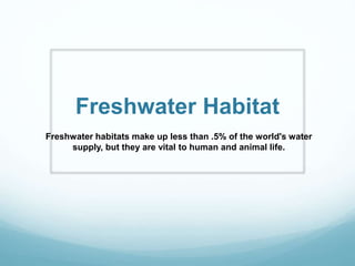 Freshwater Habitat
Freshwater habitats make up less than .5% of the world's water
supply, but they are vital to human and animal life.
 