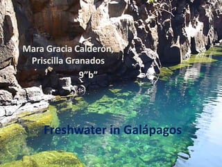 Freshwater in Galápagos
Mara Gracia Calderón,
Priscilla Granados
9”b”
 