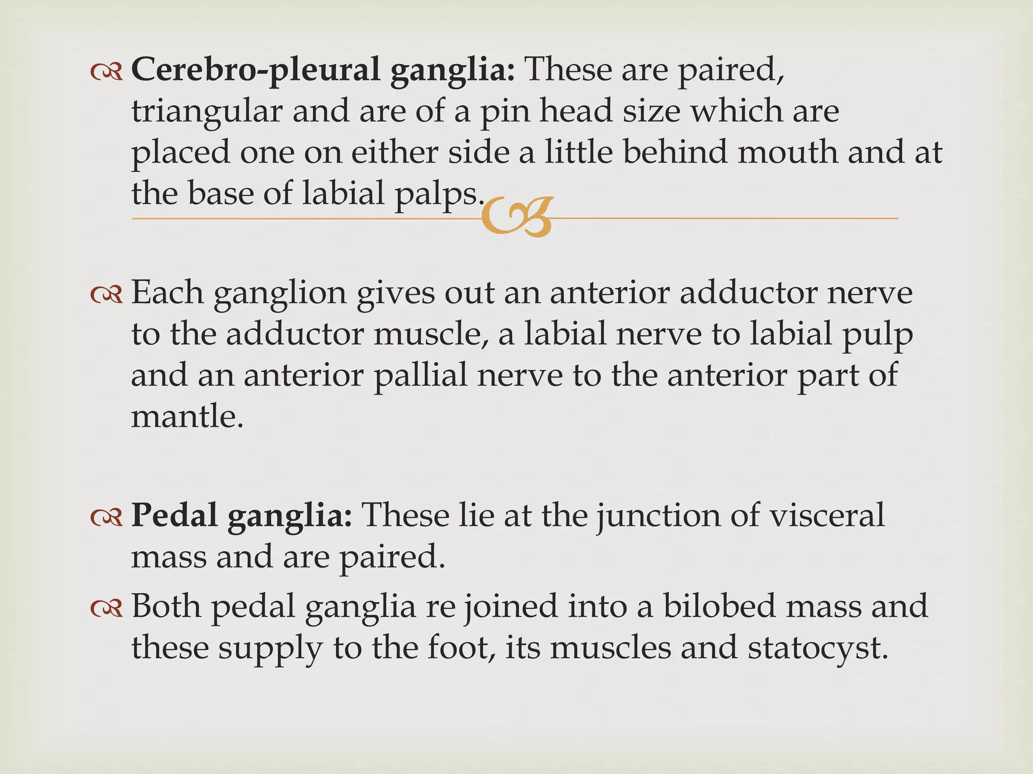 
 Cerebro-pleural ganglia: These are paired,
triangular and are of a pin head size which are
placed one on either side a little behind mouth and at
the base of labial palps.
 Each ganglion gives out an anterior adductor nerve
to the adductor muscle, a labial nerve to labial pulp
and an anterior pallial nerve to the anterior part of
mantle.
 Pedal ganglia: These lie at the junction of visceral
mass and are paired.
 Both pedal ganglia re joined into a bilobed mass and
these supply to the foot, its muscles and statocyst.
 