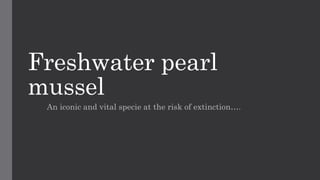 Freshwater pearl
mussel
An iconic and vital specie at the risk of extinction….
 