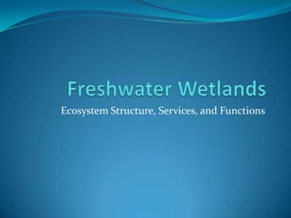 Freshwater Wetlands Ecosystem Structure, Services, and Functions  