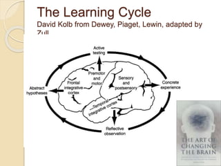 The Learning Cycle
David Kolb from Dewey, Piaget, Lewin, adapted by
Zull
 