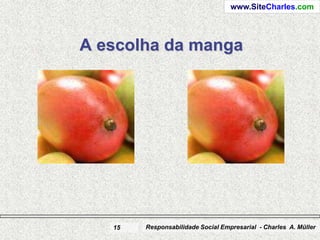 www.SiteCharles.com




A escolha da manga




   15   Responsabilidade Social Empresarial - Charles A. Müller
 