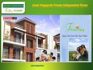 Ansal Megapolis Freesia Independent Floors

09999684955

 