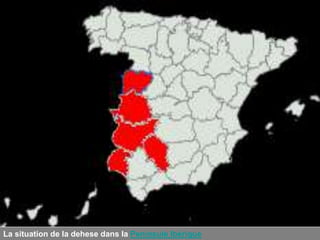 La situation de la dehese dans la Peninsule Ibérique
 