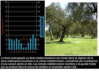 100                               200

                    90                               180

                    80                               160

                    70                               140




                                                           Precipitations (mm)
Temperature (ºC)




                    60                               120

                    50                               100

                    40                               80

                    30                               60

                    20                               40

                    10                               20

                     0                               0
                         J F M A M J   J A S O N D


La fôret sclérophylle ou fôret méditerranéenne est située dans le régions de la
zone subtropical soumises à un climat méditerranéen, caractérisé par la présence
d’une saison sèche en été. Les climats méditerranéen maritime a le goutte froide
qui se produit dans le moins de octobre et novembre après l’été.
 