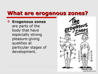 What are erogenous zones?What are erogenous zones?
 Erogenous zones
are parts of the
body that have
especially strong
pleasure-giving
qualities at
particular stages of
development.
 
