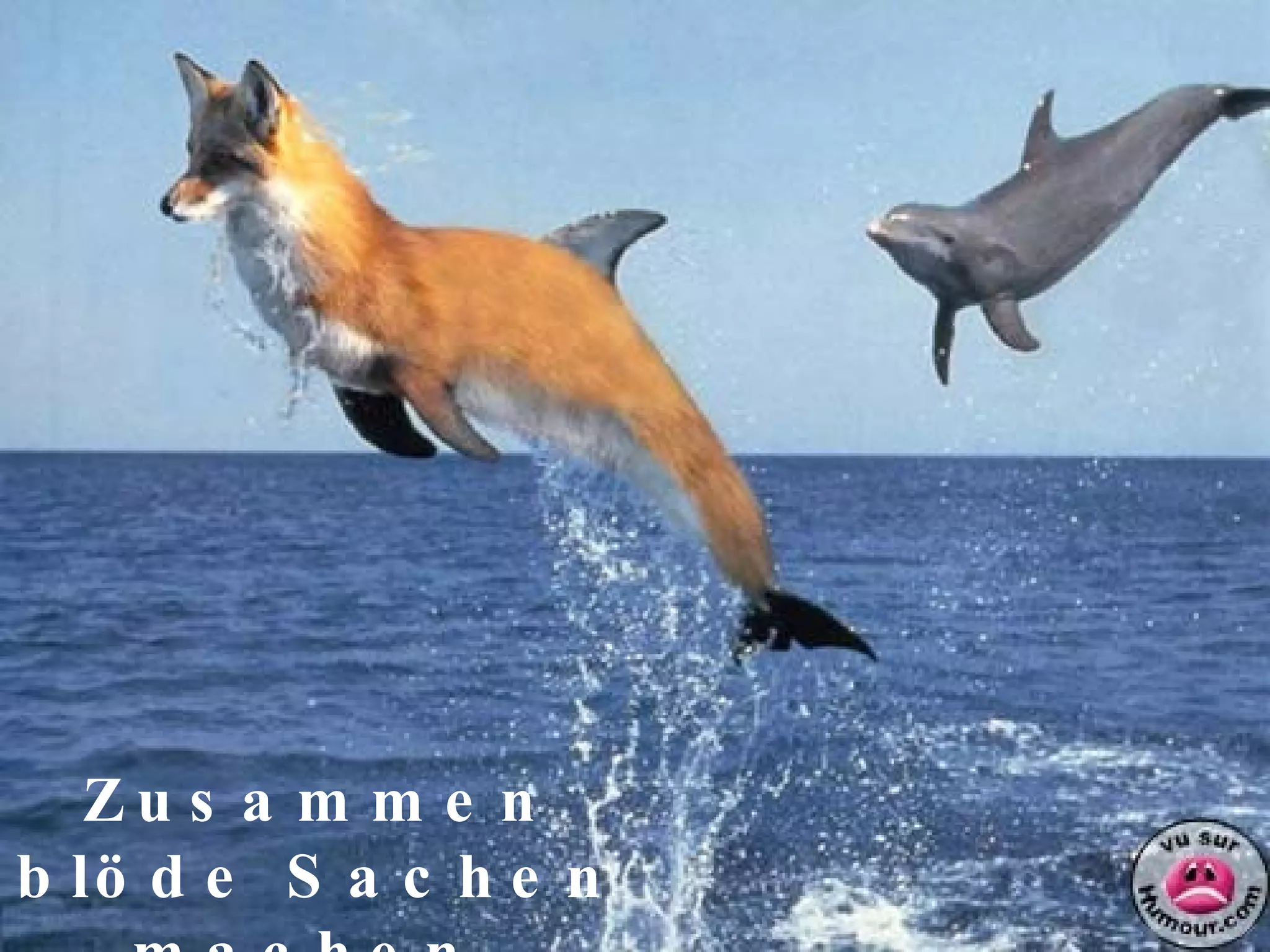 Zusammen blöde Sachen machen.