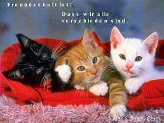 Freundschaft ist: Dass wir alle verschieden sind.