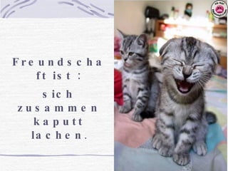 Freundschaft ist : sich zusammen kaputt lachen .