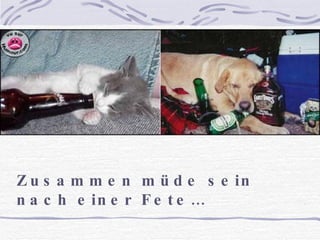 Zusammen müde sein nach einer Fete…