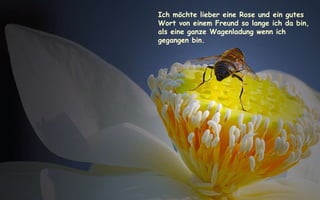 Ich möchte lieber eine Rose und ein gutes Wort von einem Freund so lange ich da bin, als eine ganze Wagenladung wenn ich gegangen bin. 