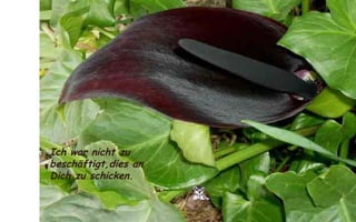 Ich war nicht zu beschäftigt,dies an Dich zu schicken. 