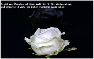 Es gibt zwei Menschen auf dieser Welt, die für Dich sterben würden.  Und mindestes 15 Leute, die Dich in irgendeiner Weise lieben . 