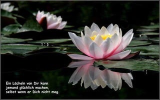 Ein Lächeln von Dir kann jemand glücklich machen, selbst wenn er Dich nicht mag. 