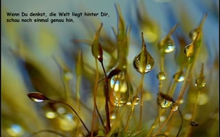 Wenn Du denkst, die Welt liegt hinter Dir, schau noch einmal genau hin. 