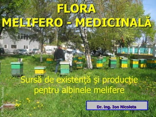 FLORA  MELIFERO -   MEDICINAL Ă Surs ă de existenţă şi producţie pentru albine le melifere Dr. ing. Ion Nicoleta  