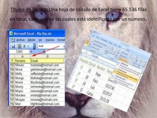 Títulos de las filas Una hoja de cálculo de Excel tiene 65.536 filas
en total, cada una de las cuales está identificada por un número.
 