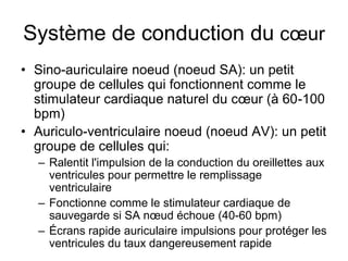 Système de conduction du cœur
• Sino-auriculaire noeud (noeud SA): un petit
  groupe de cellules qui fonctionnent comme le
  stimulateur cardiaque naturel du cœur (à 60-100
  bpm)
• Auriculo-ventriculaire noeud (noeud AV): un petit
  groupe de cellules qui:
  – Ralentit l'impulsion de la conduction du oreillettes aux
    ventricules pour permettre le remplissage
    ventriculaire
  – Fonctionne comme le stimulateur cardiaque de
    sauvegarde si SA nœud échoue (40-60 bpm)
  – Écrans rapide auriculaire impulsions pour protéger les
    ventricules du taux dangereusement rapide
 