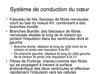 Système de conduction du cœur
• Faisceau de His: faisceau de fibres nerveuses
  court au bas du noeud AV, conduisant à des
  branches bundle
• Branches Bundle: des faisceaux de fibres
  nerveuses situées le long de la cloison qui
  portent l'impulsion dans les ventricules droit et
  gauche
   – Branche droite: déplace le long du côté droit de la
     cloison et porte une impulsion à la RV
   – De branche gauche: déplace le long du côté gauche
     de la cloison et porte une impulsion à la LV
• Fibres de Purkinje: cheveu-comme des fibres
  qui se propagent à travers la surface
  endocardique des deux ventricules et effectuer
  rapidement l'impulsion vers les cellules
 