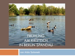 FRÜHLING AM KIESTEICH IN BERLIN SPANDAU von Aida Salameh 