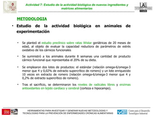 Actividad 7: Estudio de la actividad biológica de nuevos ingredientes y matrices alimentarias METODOLOGIA Estudio de la actividad biológica en animales de experimentación Se planteó el  estudio  preclínico sobre ratas Wistar  geriátricas de 20 meses de edad, al objeto de  evaluar la capacidad reductora de parámetros de estrés oxidativo de los cárnicos funcionales Se suministró a los animales durante 8 semanas una cantidad de producto cárnico funcional que representaba el 20% de su dieta.  Tras el sacrificio, se determinaron los  niveles de radicales libres  y  enzimas antioxidantes en tejido cardíaco y cerebral  (corteza e hipocampo).  Se emplearon dos lotes de productos: el estándar (relación omega-6/omega-3 menor que 4 y 0,02% de extracto supercrítico de romero) y un lote enriquecido 10 veces en extracto de romero (relación omega-6/omega-3 menor que 4 y 0,2% de extracto supercrítico de romero).  