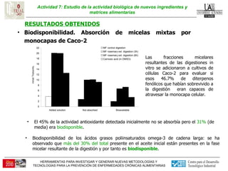 Actividad 7: Estudio de la actividad biológica de nuevos ingredientes y matrices alimentarias RESULTADOS OBTENIDOS Biodisponibilidad. Absorción de micelas mixtas por monocapas de Caco-2 El 45% de la actividad antioxidante detectada inicialmente no se absorbía pero el  31%  (de media) era  biodisponible .  Biodisponibilidad de los ácidos grasos poliinsaturados omega-3 de cadena larga: se ha observado que  más del 30% del total  presente en el aceite inicial están presentes en la fase micelar resultante de la digestión y por tanto es  biodisponible .  Las fracciones micelares resultantes de las digestiones in vitro se adicionaron a cultivos de células Caco-2 para evaluar si esos 46.7% de diterpenos fenólicos que habían sobrevivido a la digestión  eran capaces de atravesar la monocapa celular.  