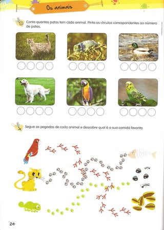 Férias pre escolar 4-5 anos