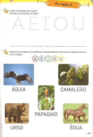 Férias pre escolar 4-5 anos