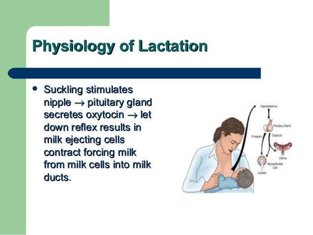 Medications and Lactation: Principles for Safe Practice for the Clini…