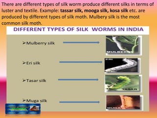 There are different types of silk worm produce different silks in terms of
luster and textile. Example: tassar silk, mooga silk, kosa silk etc. are
produced by different types of silk moth. Mulbery silk is the most
common silk moth.
 
