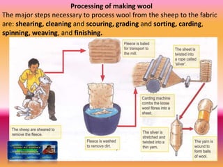 Processing of making wool
The major steps necessary to process wool from the sheep to the fabric
are: shearing, cleaning and scouring, grading and sorting, carding,
spinning, weaving, and finishing.
 