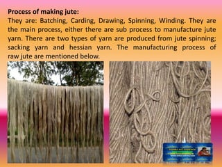 Process of making jute:
They are: Batching, Carding, Drawing, Spinning, Winding. They are
the main process, either there are sub process to manufacture jute
yarn. There are two types of yarn are produced from jute spinning;
sacking yarn and hessian yarn. The manufacturing process of
raw jute are mentioned below.
 