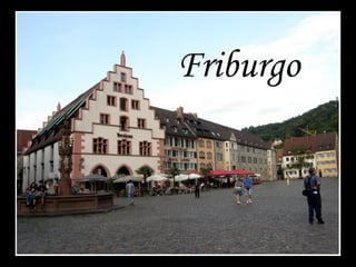 Friburgo
 
