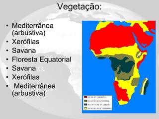 Vegetação: Mediterrânea (arbustiva) Xerófilas Savana Floresta Equatorial Savana Xerófilas Mediterrânea (arbustiva) 
