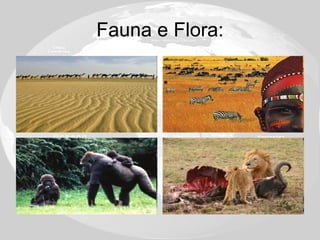 Fauna e Flora: 