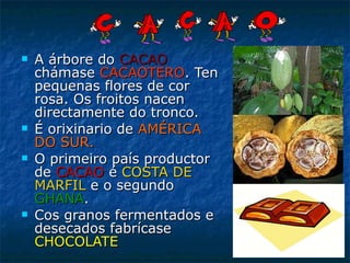 A árbore do  CACAO  chámase  CACAOTERO . Ten pequenas flores de cor rosa. Os froitos nacen directamente do tronco. É orixinario de  AMÉRICA DO SUR. O primeiro país productor de  CACAO  é  COSTA DE MARFIL  e o segundo  GHANA . Cos granos fermentados e desecados fabrícase  CHOCOLATE 