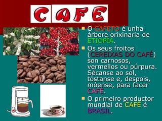 O  CAFETO  é unha árbore orixinaria de  ETIOPÍA . Os seus froitos ( CEREIXAS DO CAFÉ ) son carnosos, vermellos ou púrpura. Sécanse ao sol, tóstanse e, despois, móense, para facer  CAFÉ . O primeiro productor mundial de  CAFÉ  é  BRASIL . 