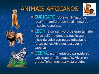 ANIMAIS AFRICANOS SURICATO   (do Swahili “gato de roca”): mamífero que se alimenta de insectos e arañas. LEÓN : é un carnívoro de gran tamaño (mide 1,50 m. dende o fuciño ata o inicio da cola) con patas robustas e fortes garras.Vive nos bosques e sabanas. CEBRA : é un herbívoro parecido ao cabalo pero máis pequeño. Viven en grupo.Teñen moi boa vista e oído. 